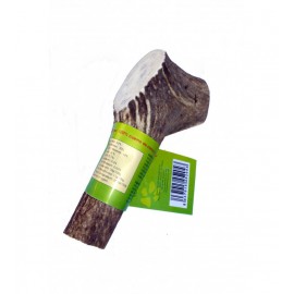Κέρατο ελαφιού antler dog chew φυσική λιχουδιά για σκύλους Xlarge 226-270 γρ.