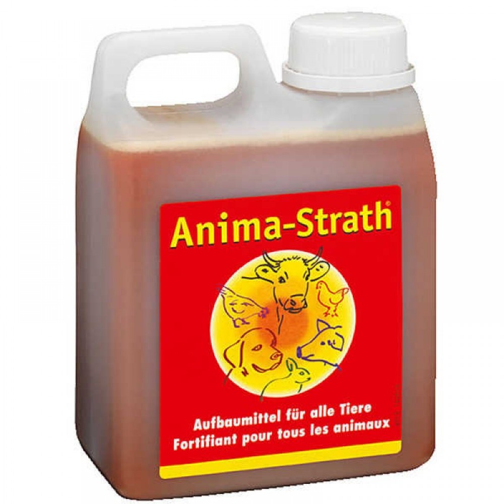 Anima Strath φυσικό πολυβιταμινούχο συμπλήρωμα διατροφής σε σιρόπι 1 λίτρο
